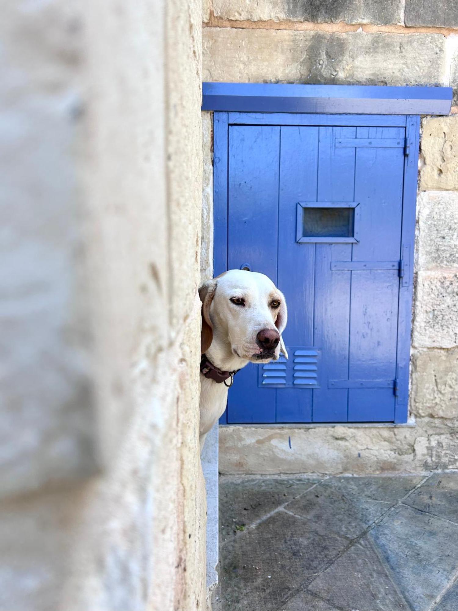 L-Imgarr Ta Skorba Farmhouse Mgarr מראה חיצוני תמונה